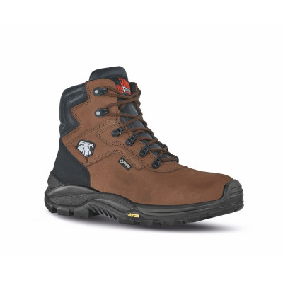 Climb GTX safety shoes